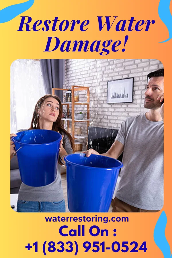 water restoration Ultimate Recovery Pros Maple Ridge