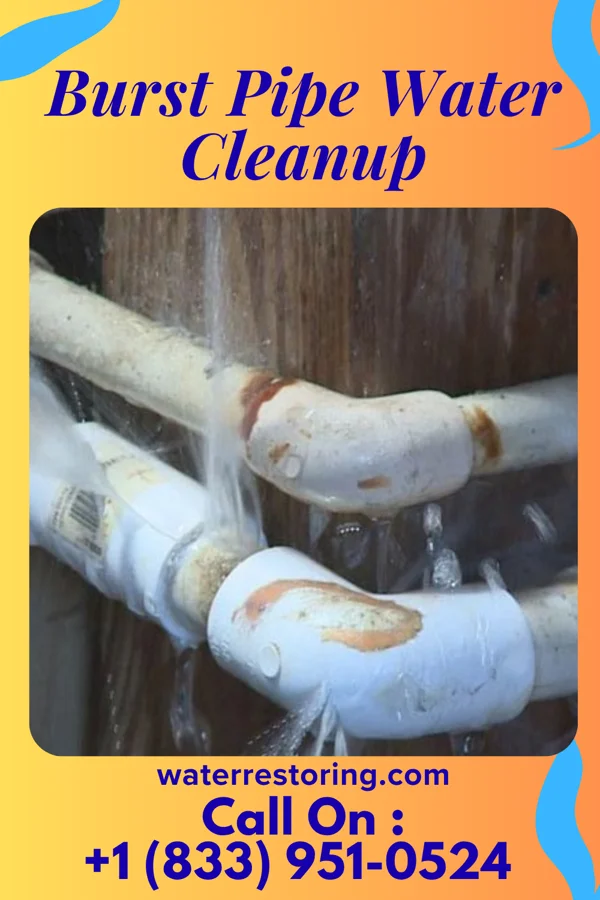 Burst Pipe Water Cleanup in Maple Ridge, OH