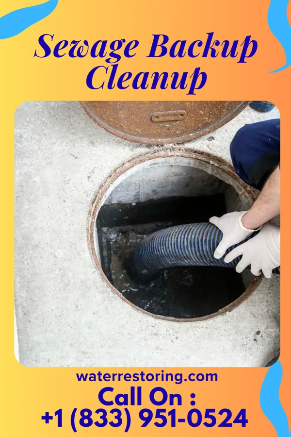 Sewage Backup Cleanup in Maple Ridge, OH